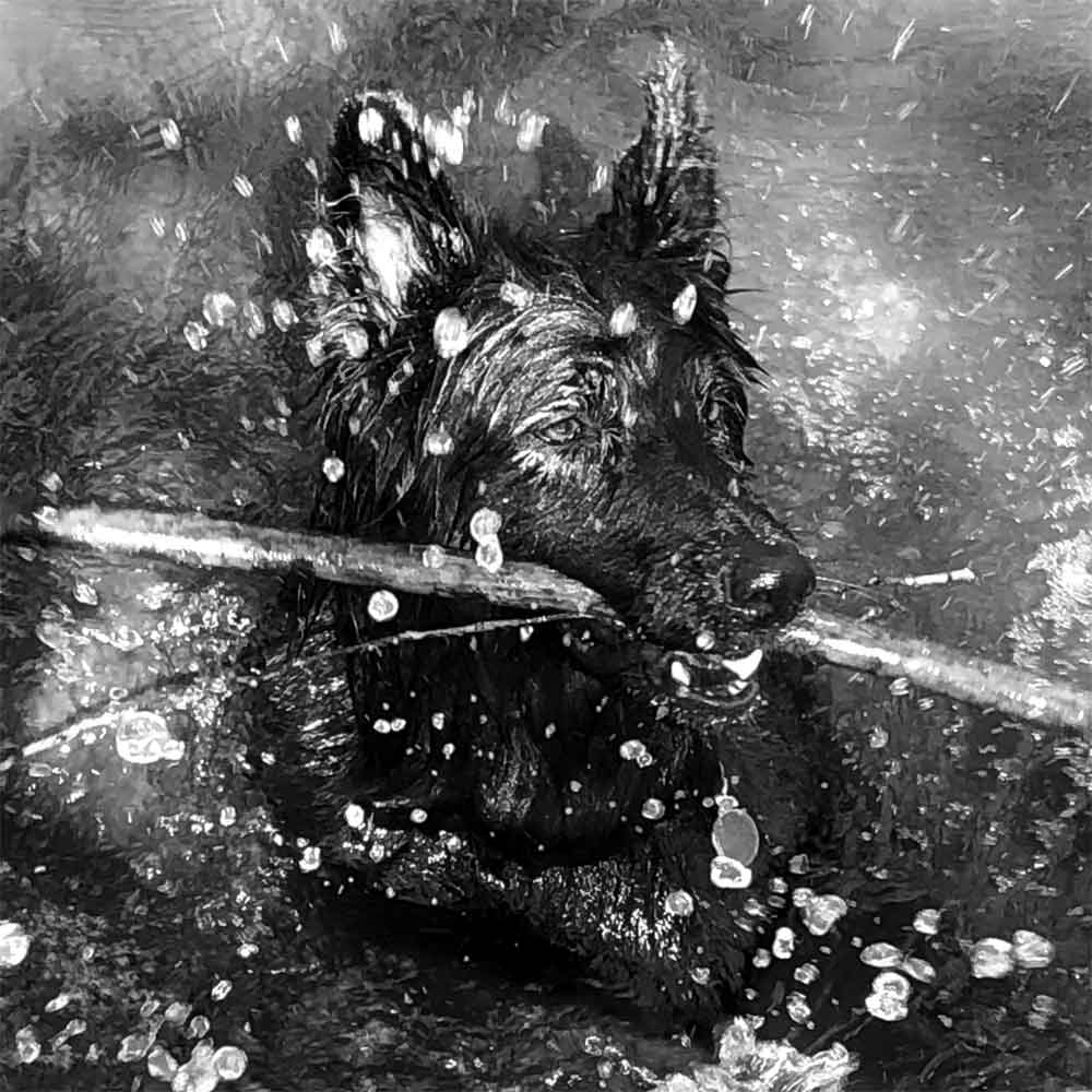 Gunnar Parker Webster